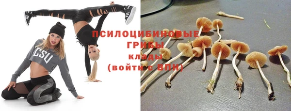 ECSTASY Армянск