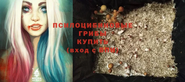 ECSTASY Армянск