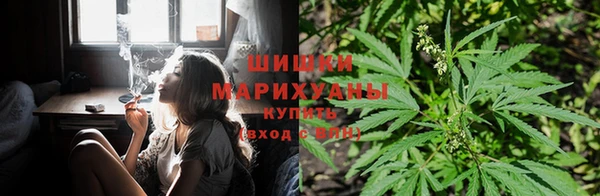 скорость Новодвинск